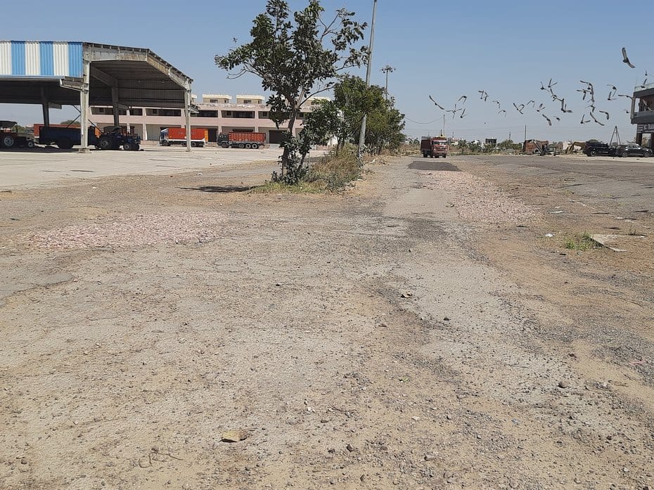 Wheat procurement begins today amid chaos