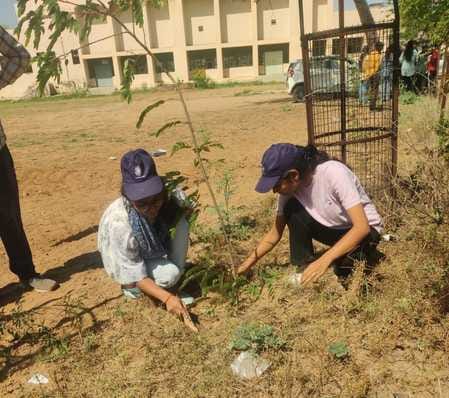 Cleanliness drive conducted in the college campus