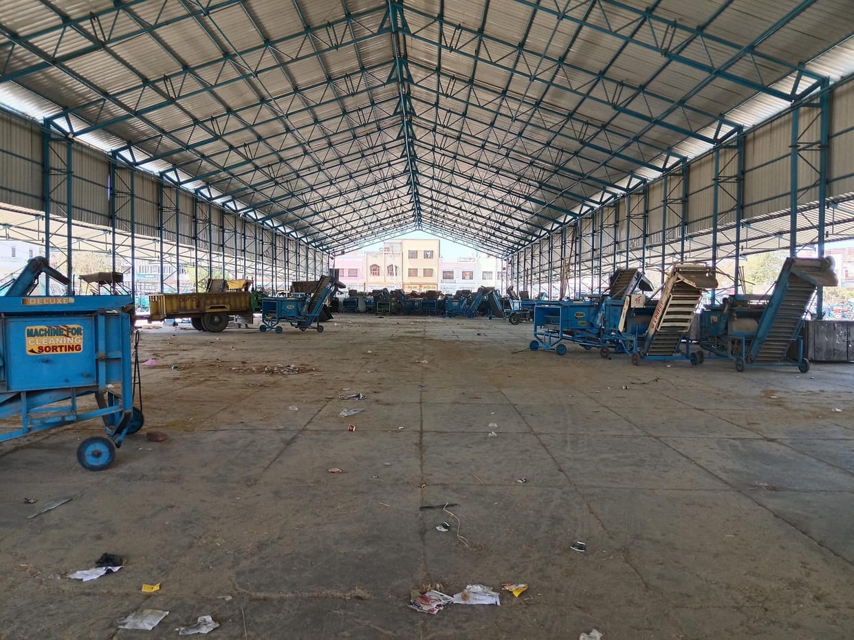 Due to no harvesting, there is no arrival of wheat in the markets of Fatehabad district