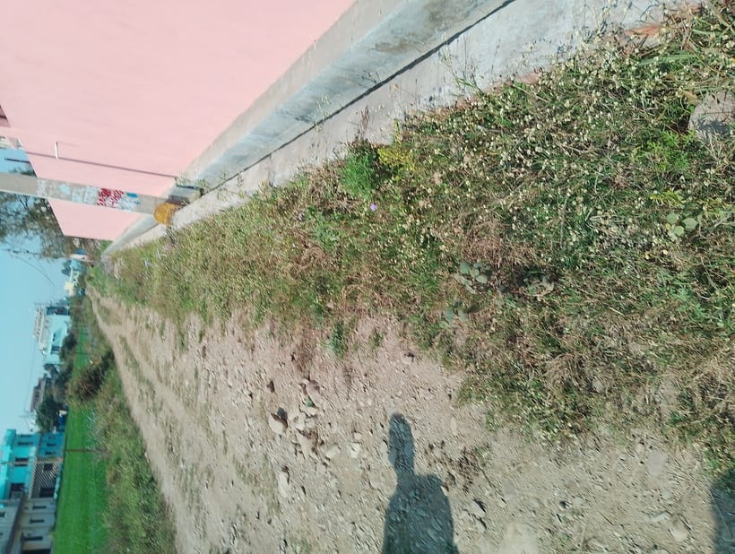 Road has not been built in Parvatipuram for 12 years, colony residents are troubled