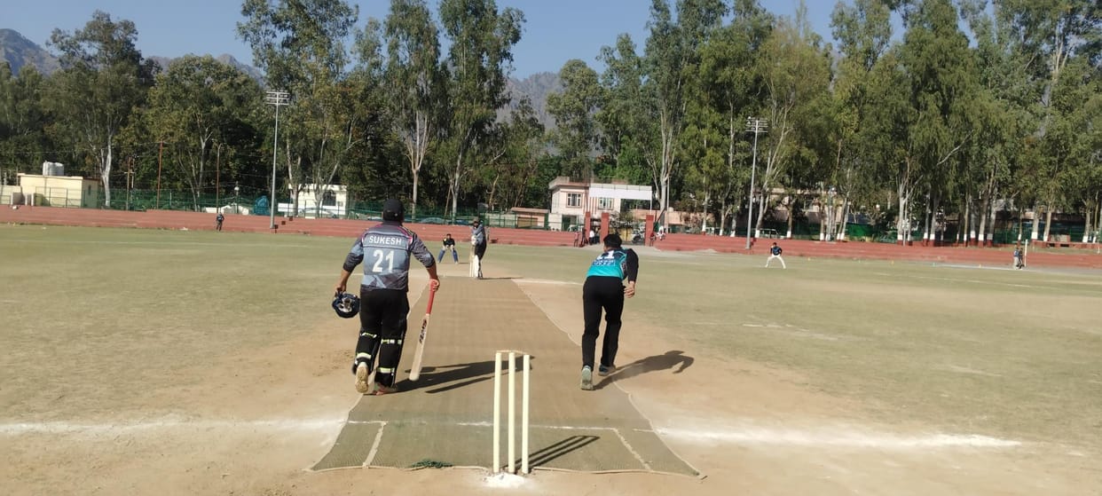 Cricket