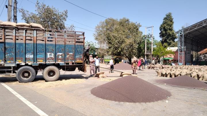 Government purchase of wheat started, no farmer arrived with the crop on the first day