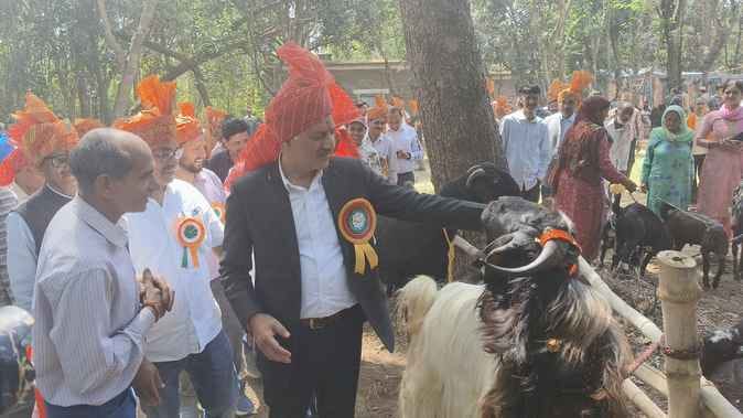 Rajindra's buffalo and Poonam's cow came first