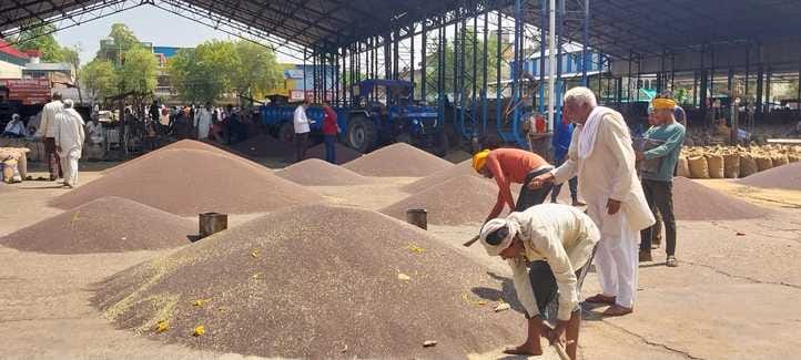 Two lakh quintals of mustard has been purchased in the markets of the district, there is still moisture left in the wheat.