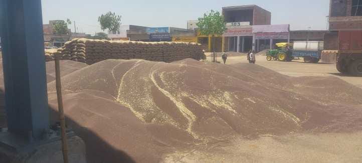 Roster system implemented in Kosli Mandi from today