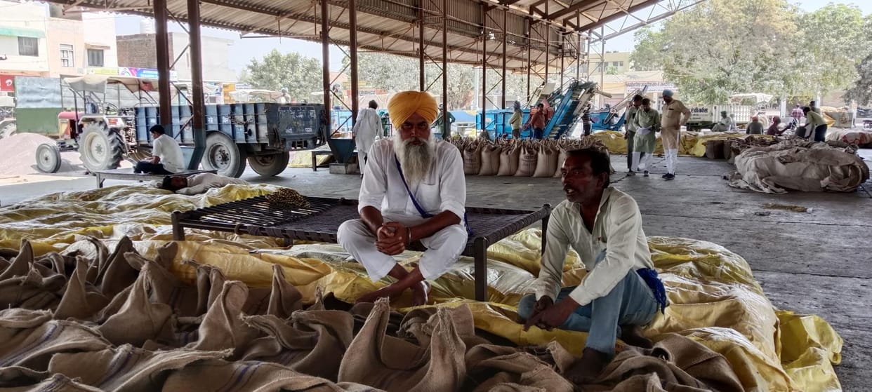 The weather is getting cold, wheat is taking time to ripen, arrivals in the market will be possible after April 10