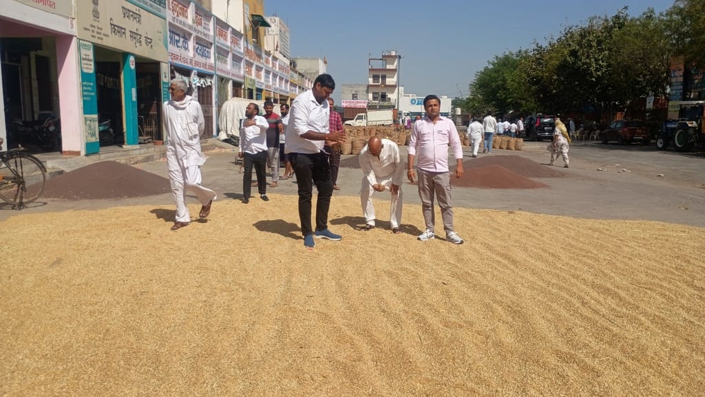 Two farmers arrived in the market with wheat, moisture was found high