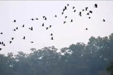 Birds and wildlife face crisis due to scorching heat; 224 rescued since April