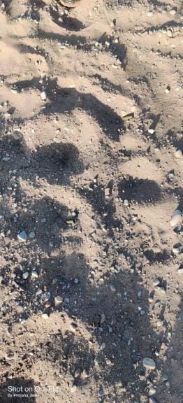 Security forces fired throughout the night in Panchtirthi