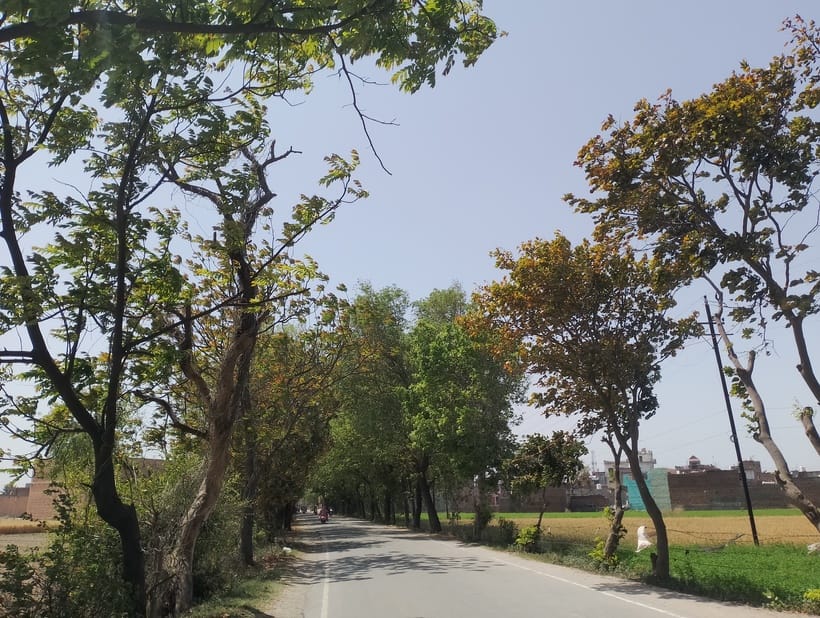 There is a possibility of change in temperature again due to strong sunlight