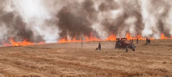 30 acres of crops burnt from Ekouna to Madanpur, fire brigade arrived late