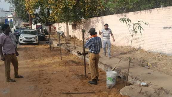 The Municipal Council launched a cleanliness drive in the city