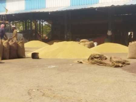 2500 quintals of wheat purchased from 34 farmers