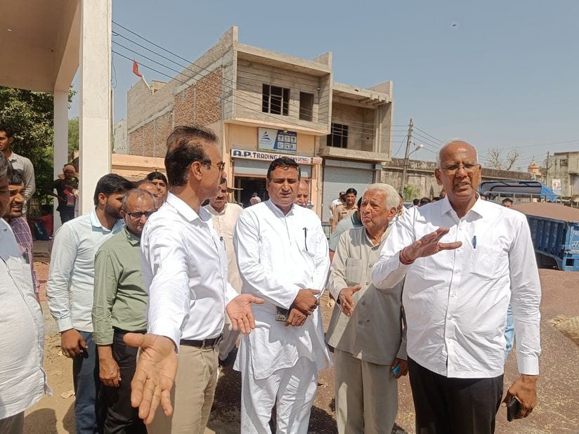 The MLA took stock of the mustard purchase in Satnali Mandi