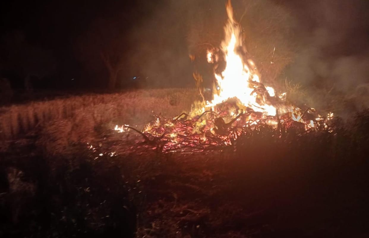 fire in wheat crop