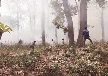Fire blazed in Mala forest, panic ensued when it reached near the fields