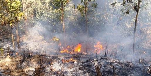 Fire breaks out in the forest of Malani Sanctuary