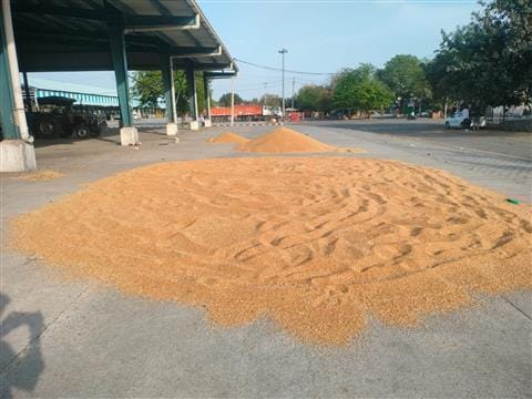 Farmers did not get gate passes due to Meri Fasal Mera Byora portal being stalled