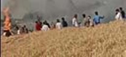 No shade arrangement for cows in Gaushala