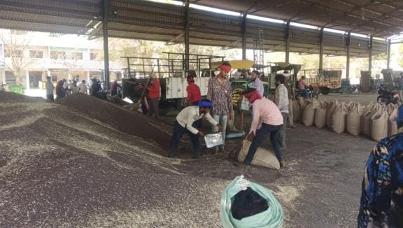 On filling mustard in government sacks in the market without sifting, the secretary said- we will take action