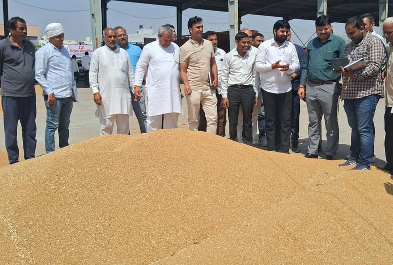 180 quintals of wheat were sold in Sonipat and 913 quintals in Kharkhoda