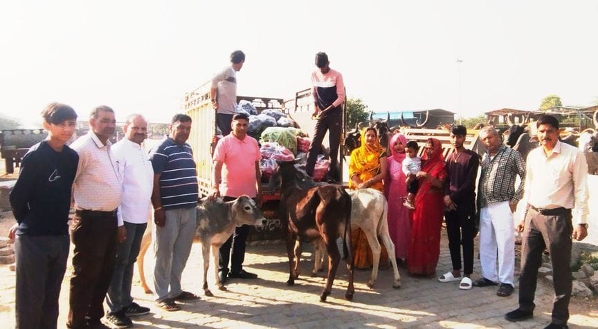 Anand kitchen set up for cows, fed them green vegetables
