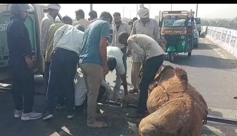 A camel's leg got stuck between the flyovers, causing a traffic jam
