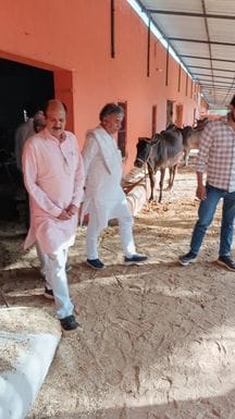 Inspect the cowshed regularly: Dr. Chandrabhan