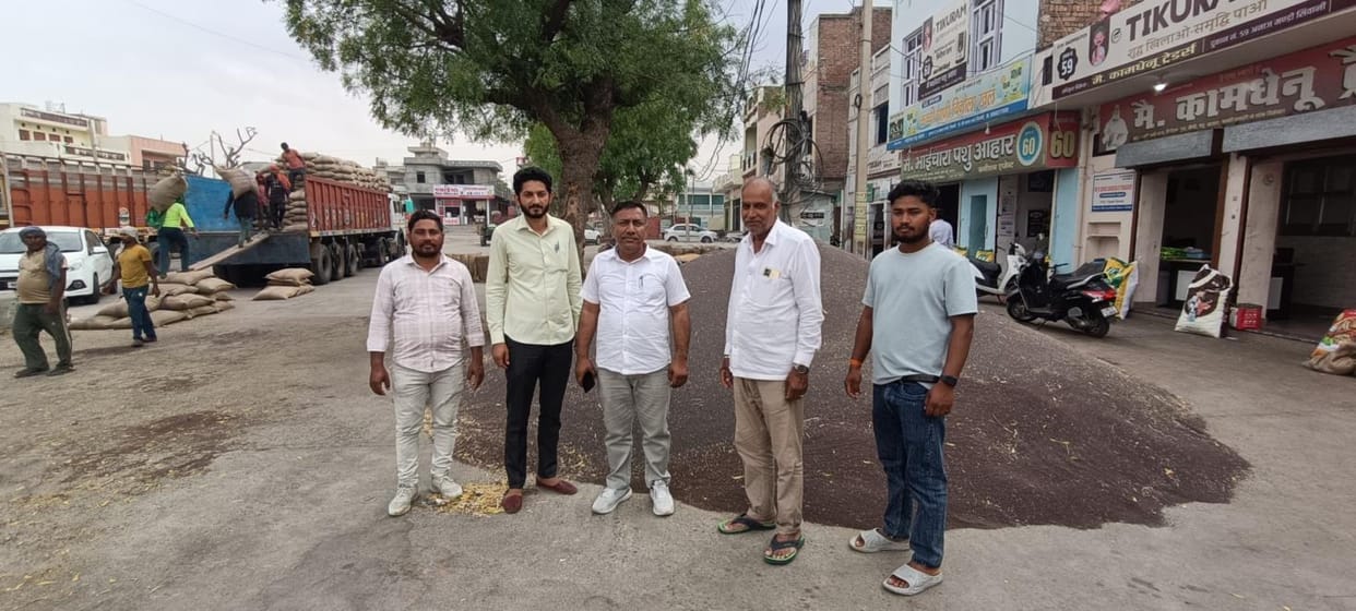 14.5 thousand quintals of mustard was purchased