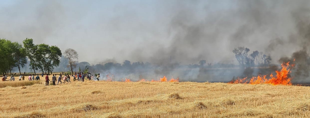 Fire wreaked havoc, 450 bighas of crops of 200 farmers destroyed