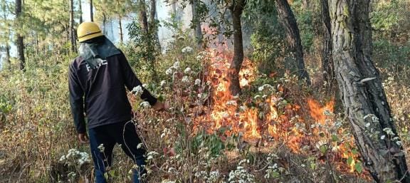 Fire broke out in Kiskot forest, extinguished in one and half hours