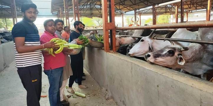 Green vegetable distribution was done at Shri Gopal Gaushala