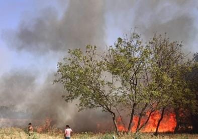 Fire caused devastation in 30 houses, three burnt