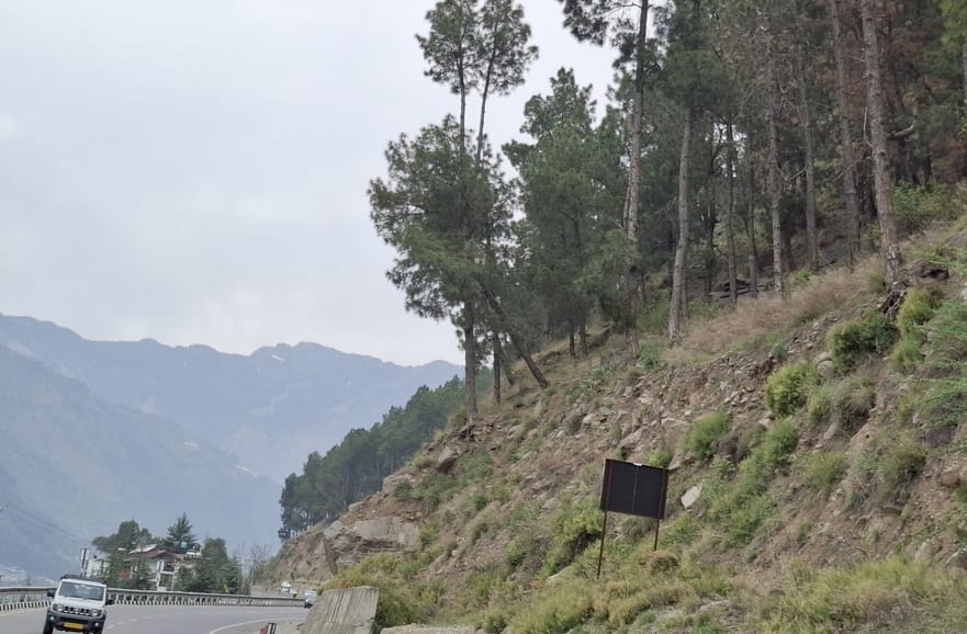 The trees hanging near the crumbling mountain may not become an enemy of life