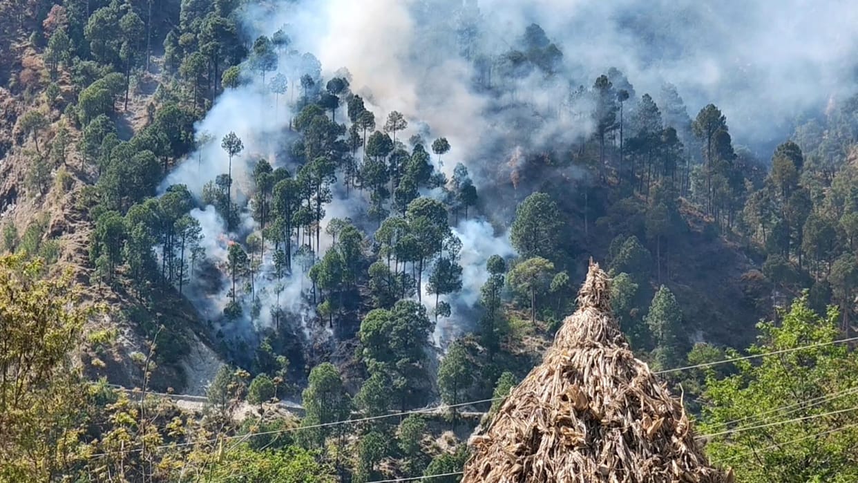 fierce fire in the forests of France reached Marseille, airport and rail services closed News In Hindi