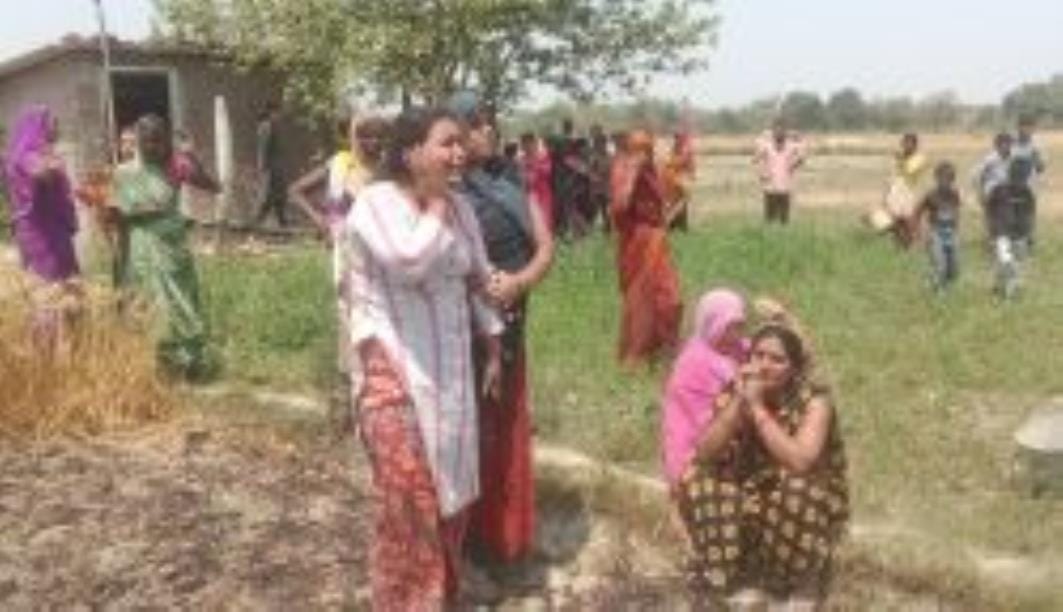 Three and a half bigha wheat crop burnt due to fire