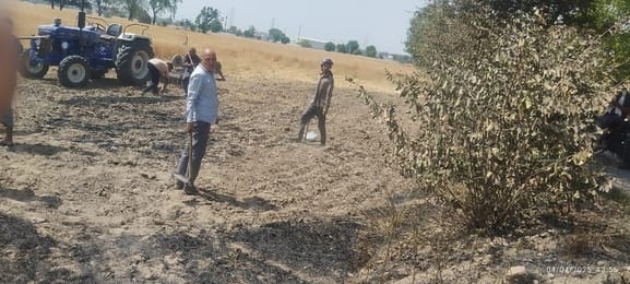 Throwing a burning bidi burnt one bigha of wheat crop