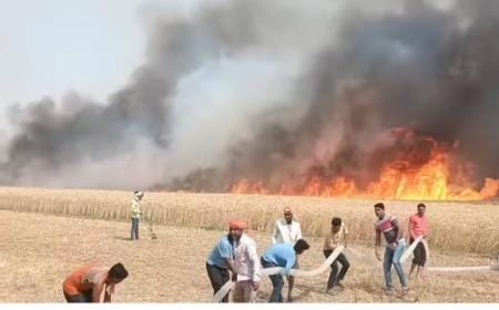Fire broke out again in Doaba... 40 acres of crops turned to ashes