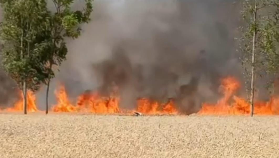 The fire turned six bighas of crops into ashes
