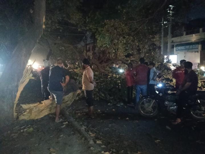 Overloaded truck broke trees and electric poles, power outage