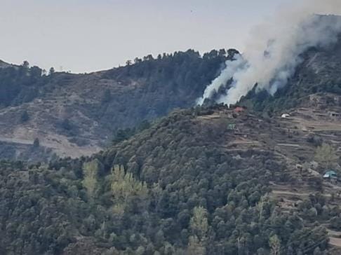 forest fire