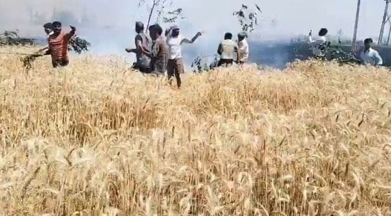 Electricity wire broke and fell, 15 bighas of wheat of seven farmers turned to ashes