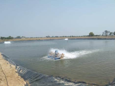 Fishing banned till August 15 violation will result in 10 thousand rupees or jail in Bhatapara
