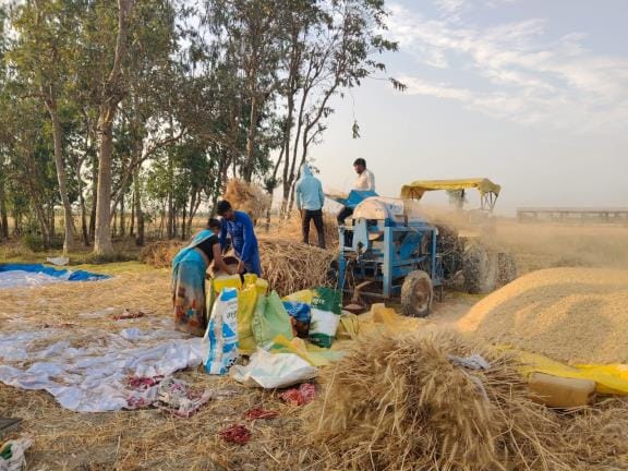 Verification of 5,067 farmers could not be done, wheat purchase affected