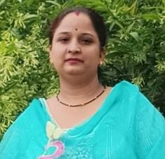 NO SRTC Bus Service