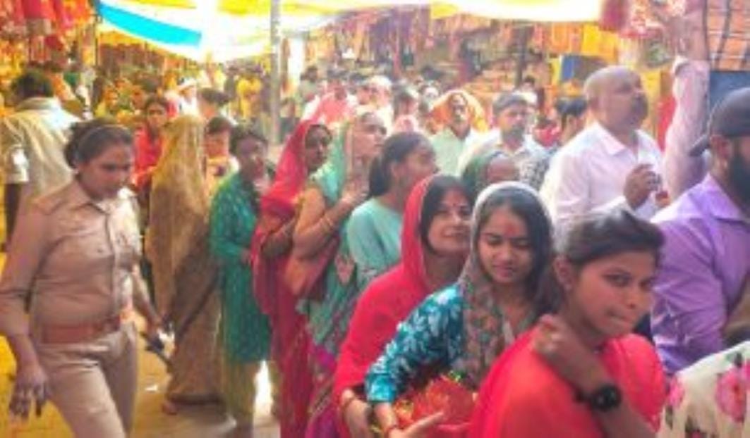 Worship Maa Siddhidatri and wish for good luck