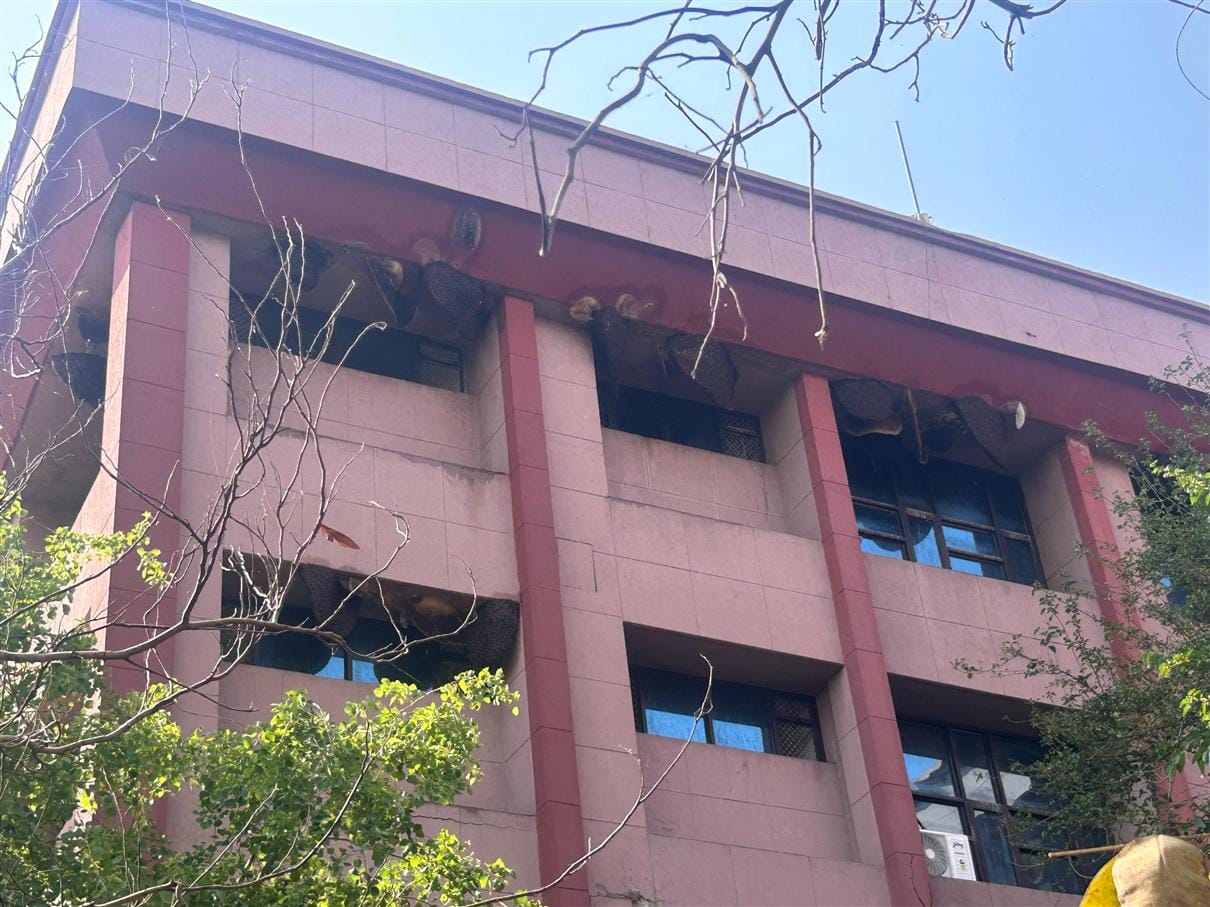 Administration will remove hives to protect from bee attack