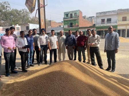 Wheat procurement started after seven days