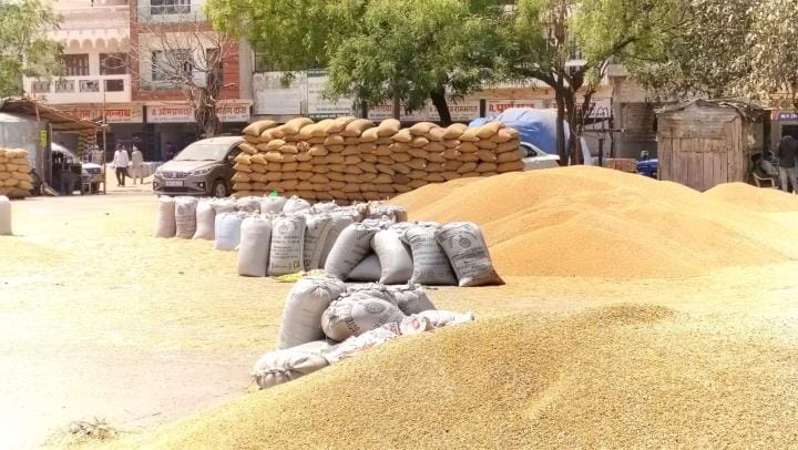 Account for government purchase of wheat not opened in Bhiwani