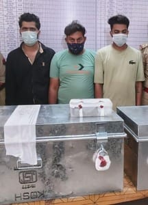 Gaurav and Rocky had distributed 59 lakh rupees and spent five lakh themselves